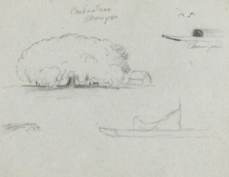 Ceiba Tree at Mompox, Chapman Canoe, Trees, and a Partial Boat, Rio Magdalena, Colombia